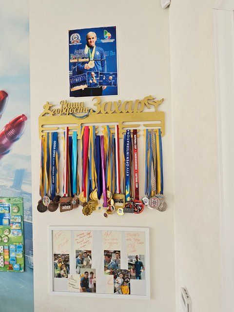 Медальница каратэ Захар 50смх35см золото (Medalnutsa-0602-551) doub_0702Medalnitsa_karate_790_15 фото